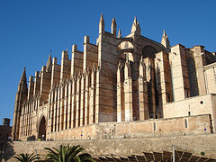 Mallorca catedral